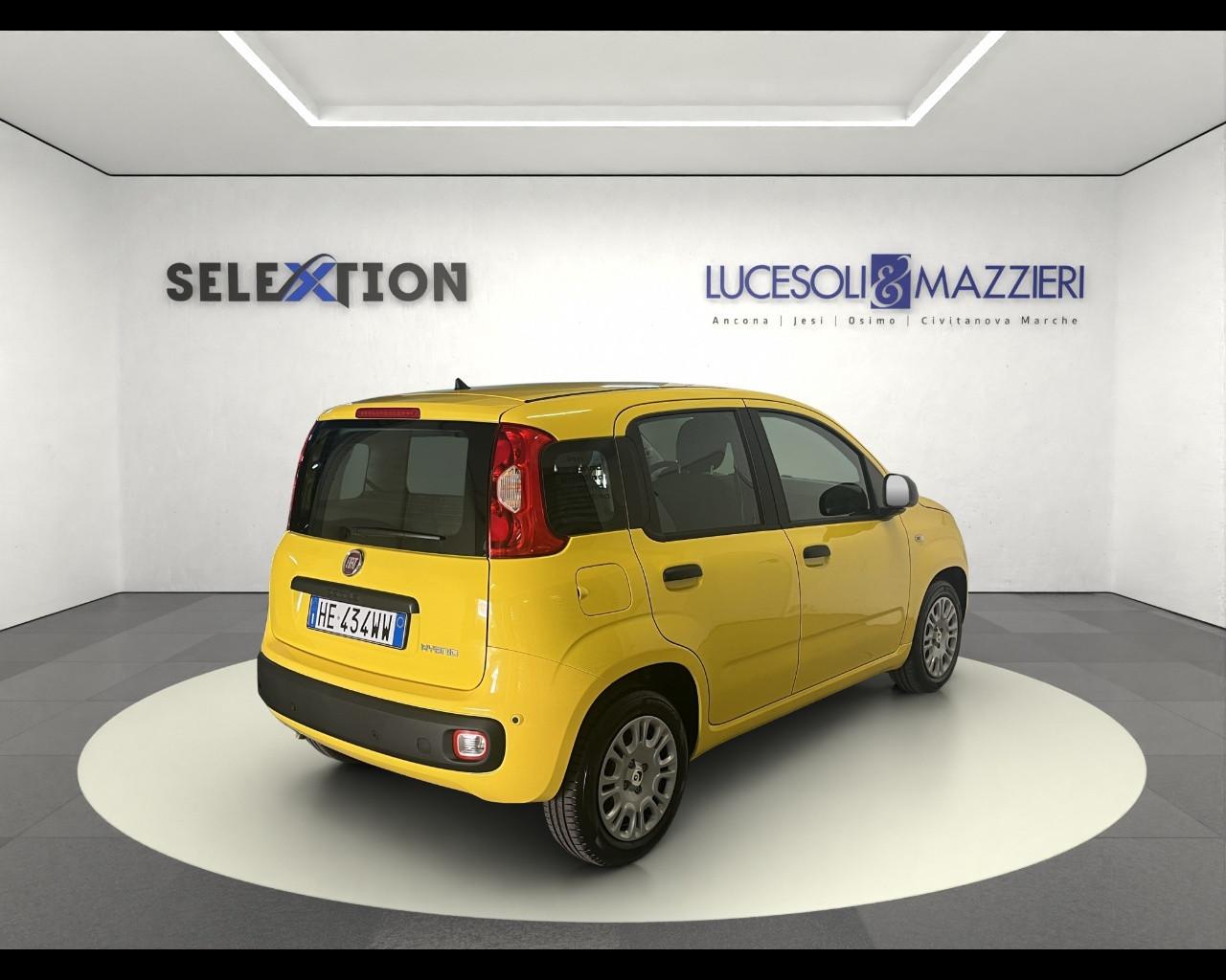 FIAT Pandina - Pandina 1.0 FireFly 65 CV Hybrid Pop