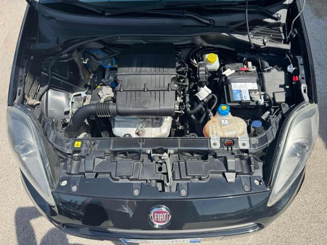FIAT Punto 1.2 69CV Lounge 100MILA KM SOGGIORNO GRATIS