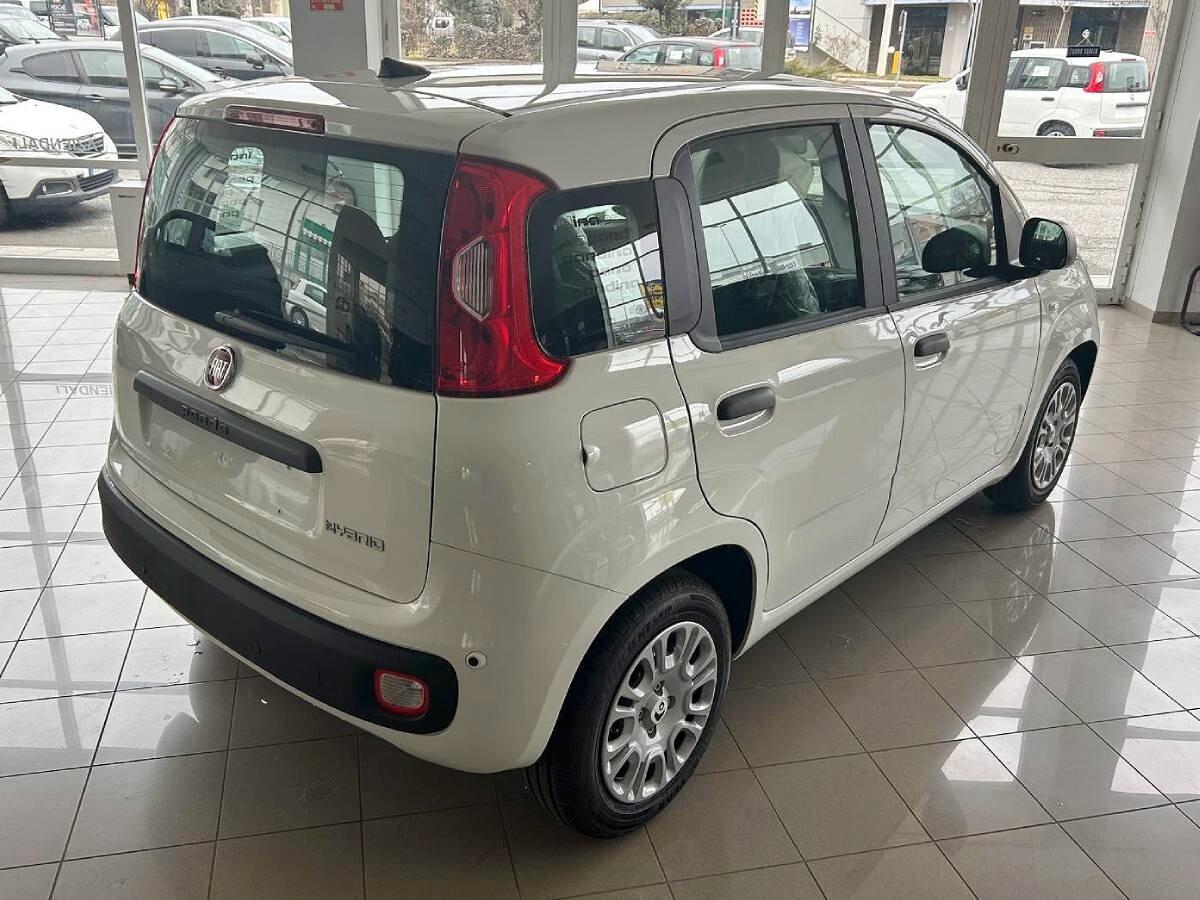 Fiat Panda 1.0 FireFly S&S Hybrid Icon