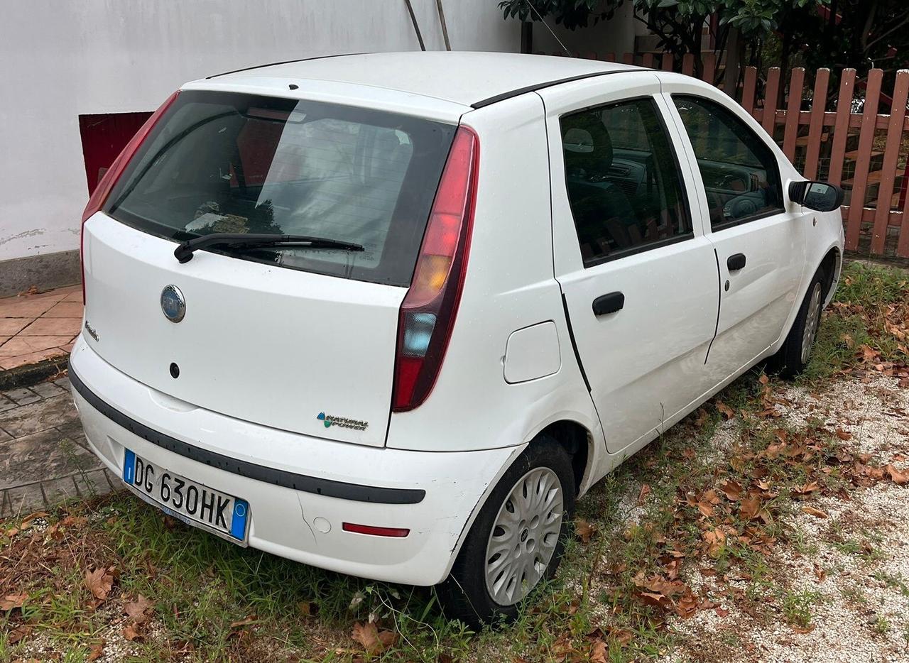 Fiat Punto Classic 1.2 5 porte Natural Power