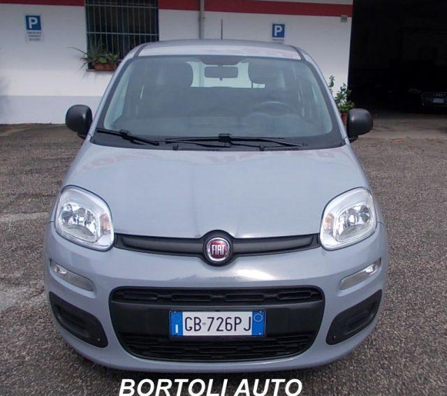 FIAT Panda 1.2 35.000 KM EASY IDONEA PER NEOPATENTATI