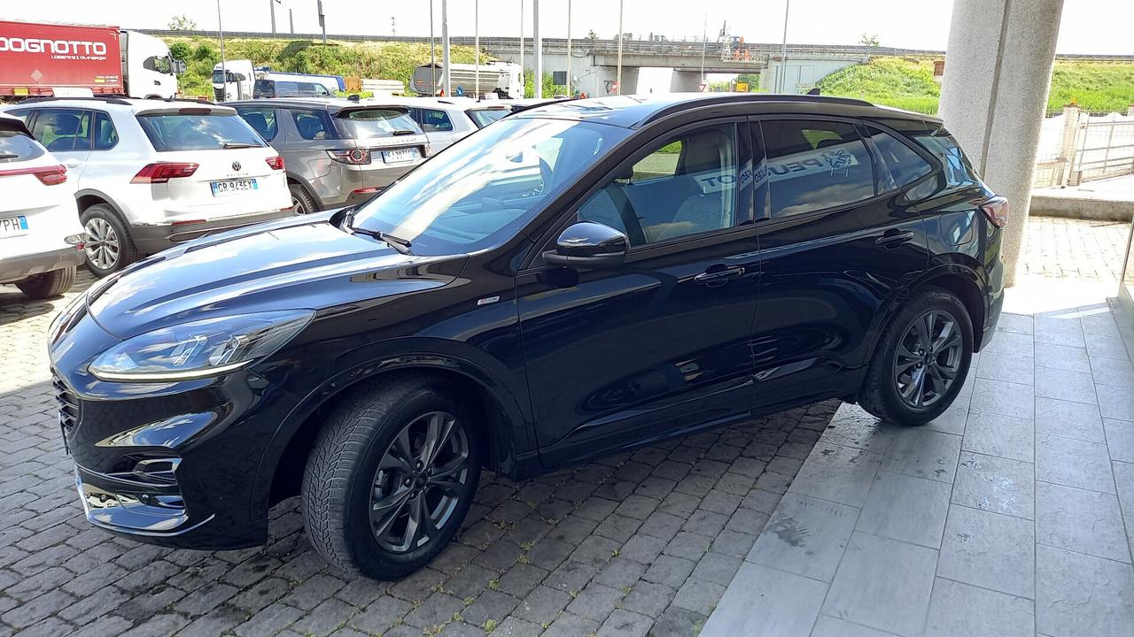 Ford Kuga 1.5 EcoBlue 120 CV aut. 2WD ST-Line