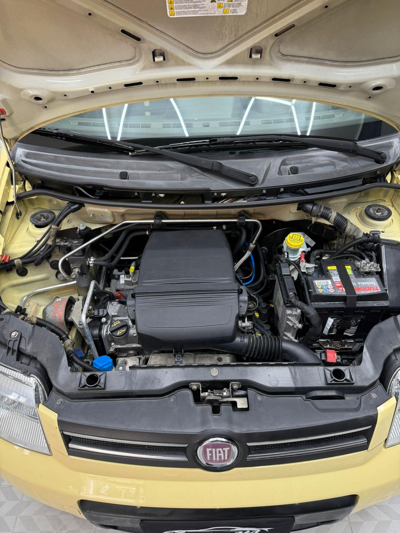 Fiat Panda 1.2 Climbing Natural Power
