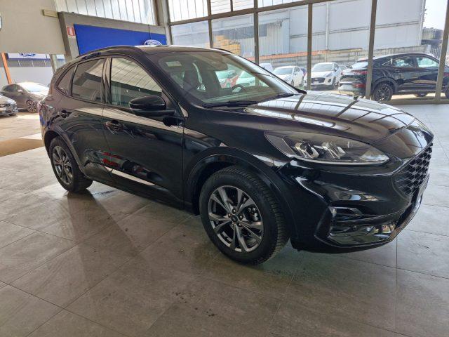 FORD Kuga 1.5 EcoBoost 150 CV 2WD ST-Line