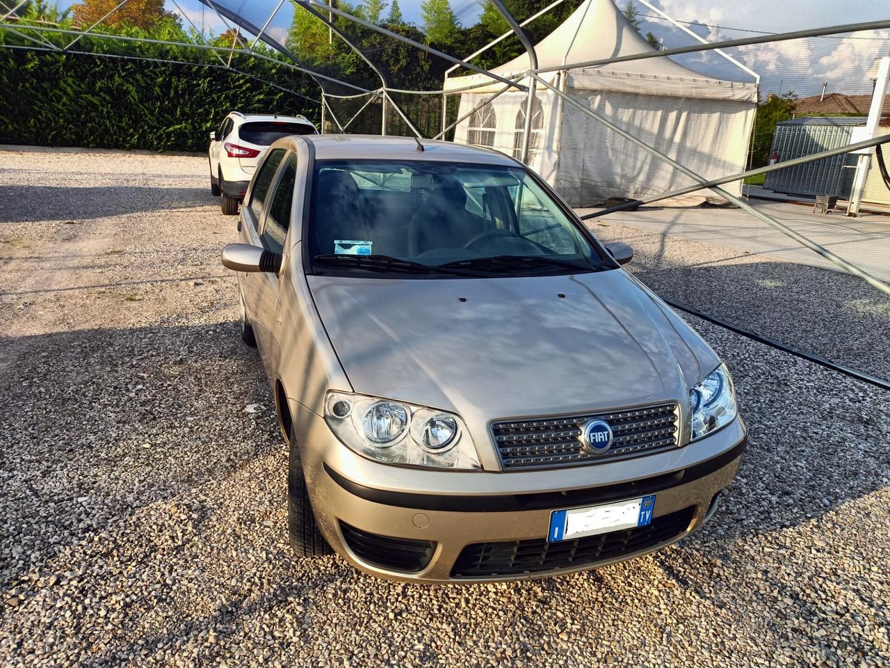Fiat Punto Classic 1.2 5 porte Dynamic NEOPATENTATI