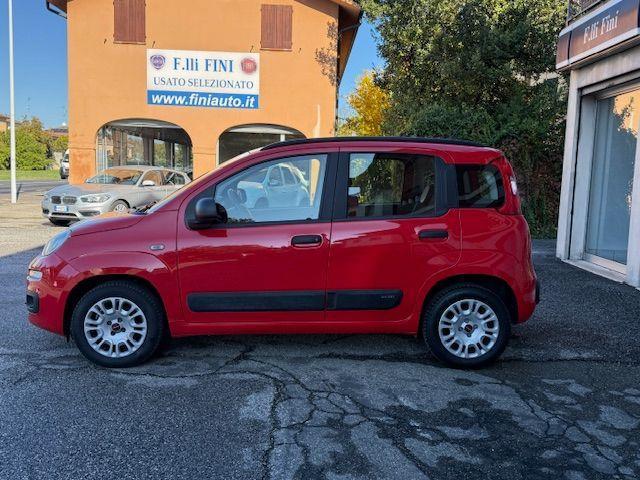 FIAT - Panda - 1.2 Easy