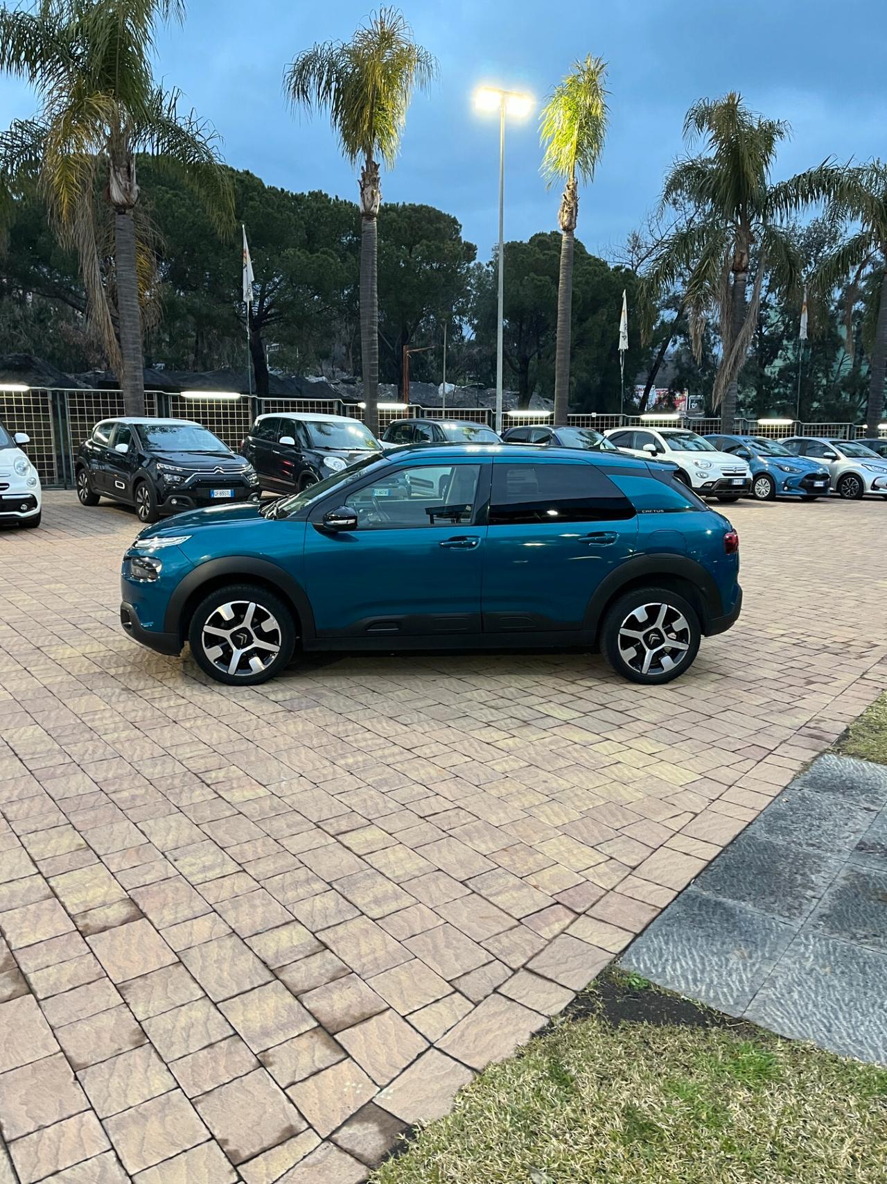 Citroen C4 Cactus BlueHDi 100 S&S Shine