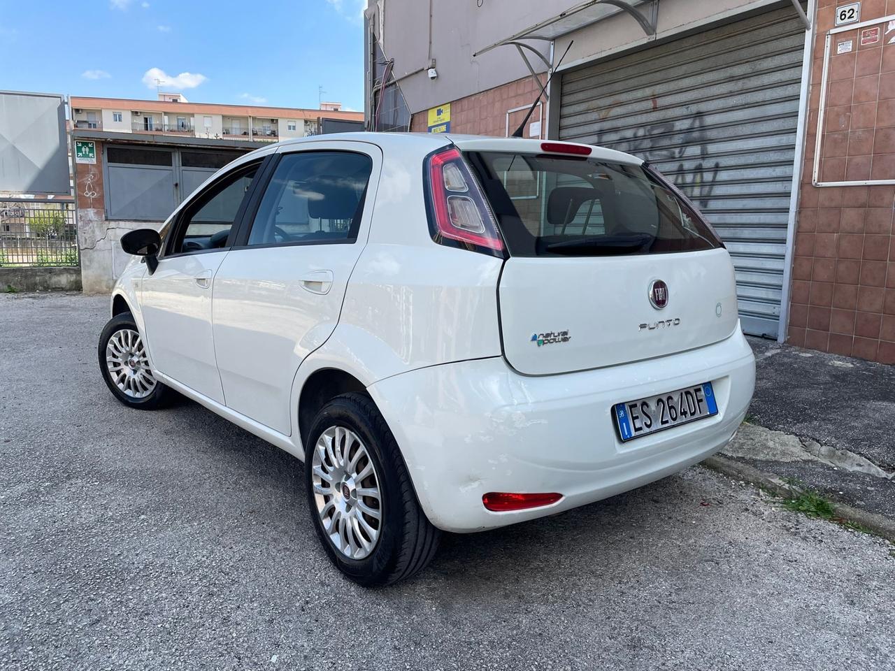 Fiat Punto Easy 1.4benz5 porte Natural Power Street Full Perfett