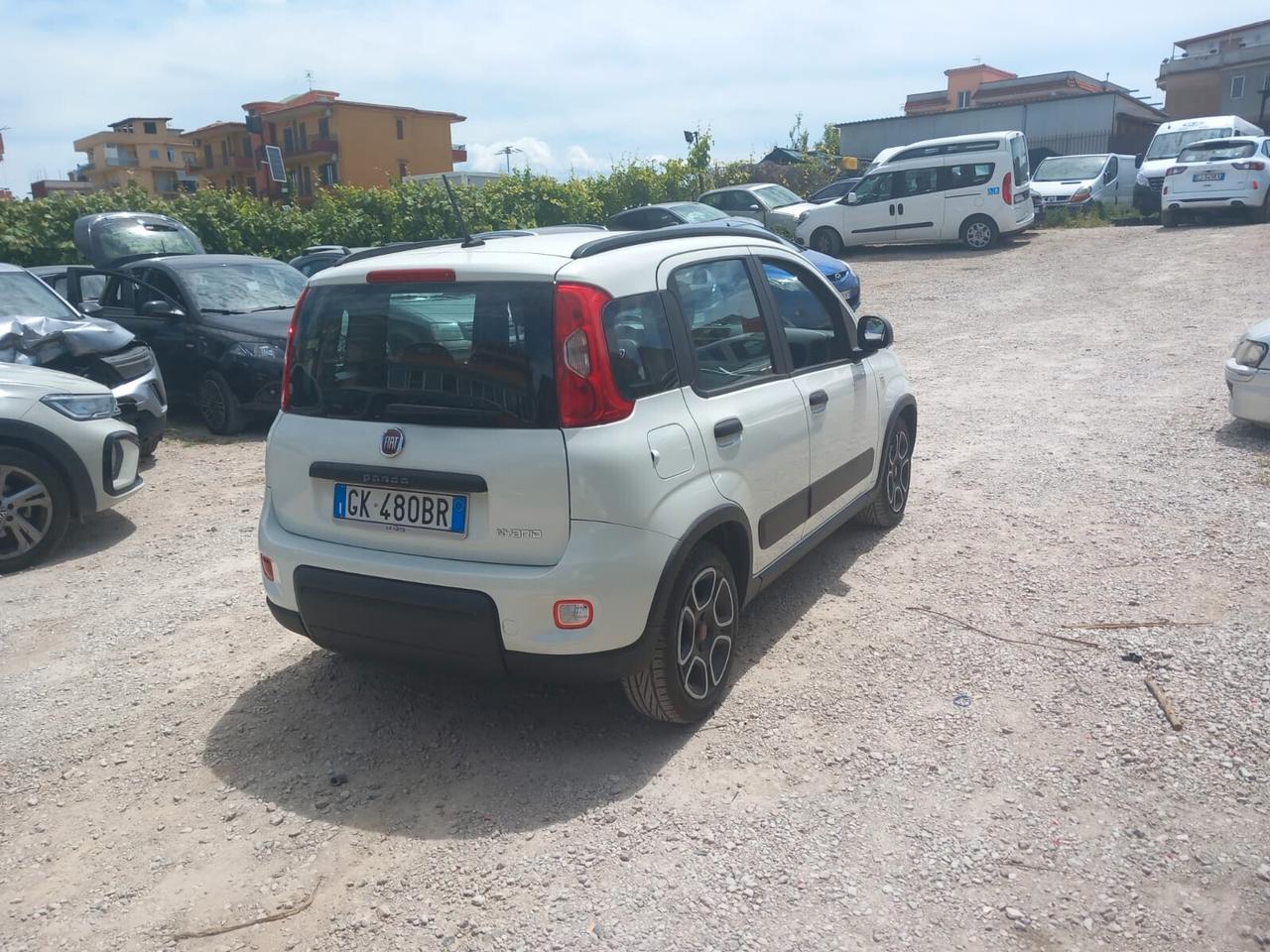 FIAT PANDA ANNO 2022 1000 BENZINA IBRIDA