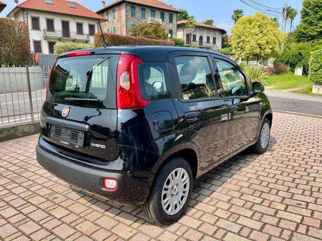 FIAT Panda 1.0 FireFly S&S Hybrid - KM0