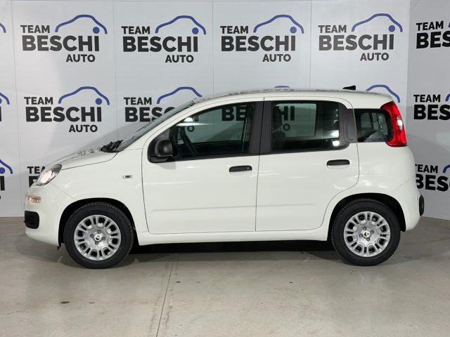 FIAT Panda 1.0 FireFly 70CV Hybrid 5P. MY25