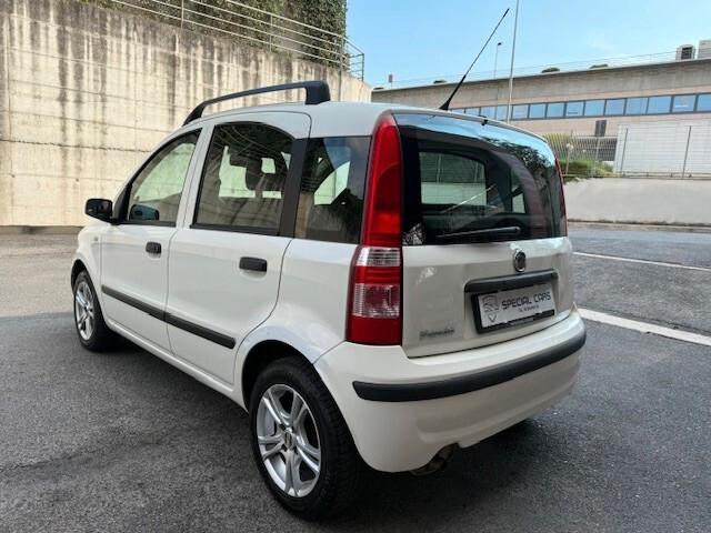 Fiat Panda 1.2 Dynamic "Solo per Export"
