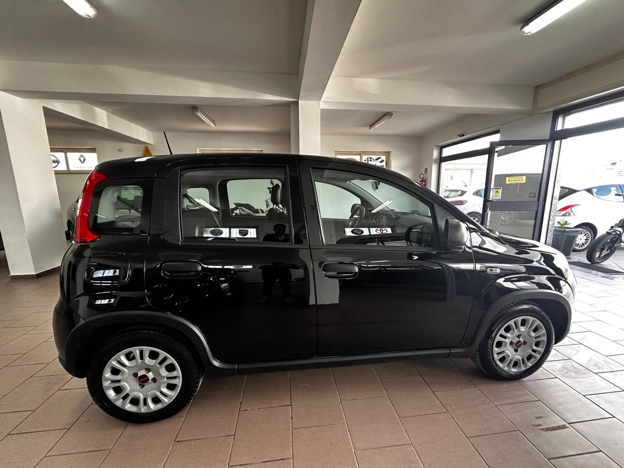 Fiat Panda 1.0 FireFly S&S Hybrid FINANZIAMENTO
