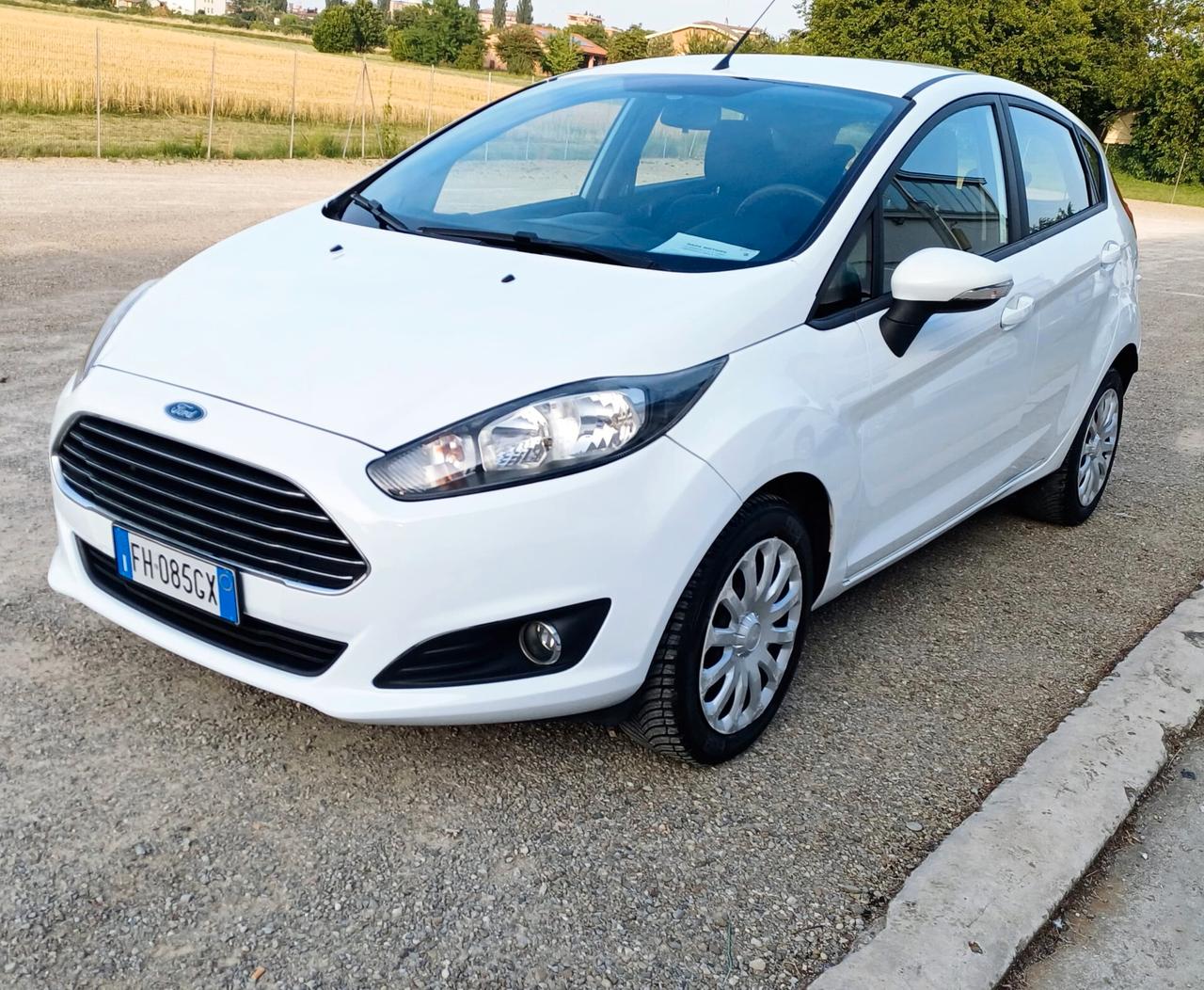 Ford Fiesta 1.4 5 porte Bz.- GPL Black & White Edition