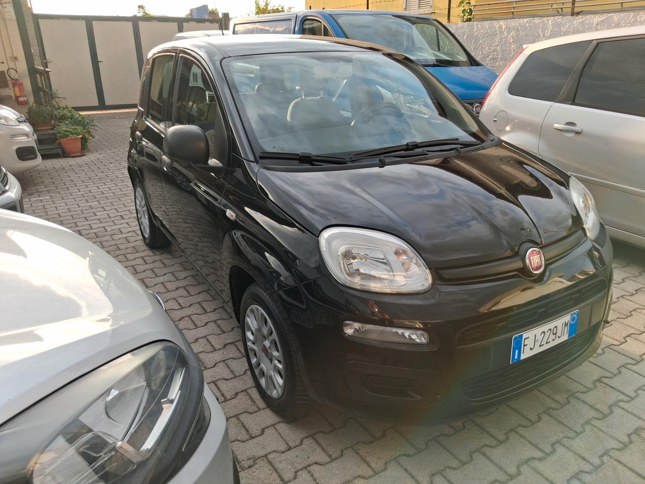 Fiat Panda 1.2 BENZINA 4 CILINDRI ANNO 2017