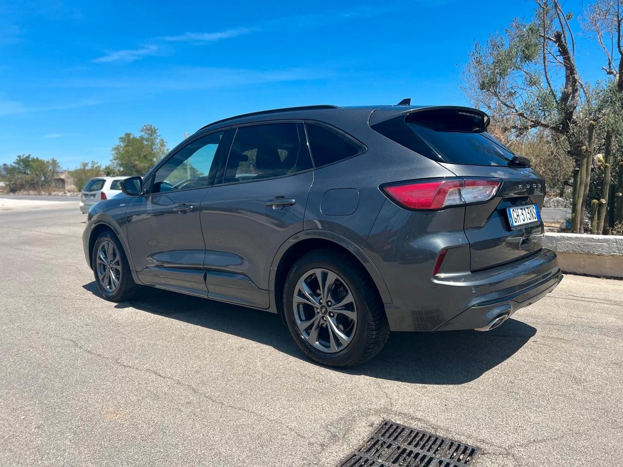 Ford Kuga 1.5 EcoBlue 120 CV 2WD ST-Line