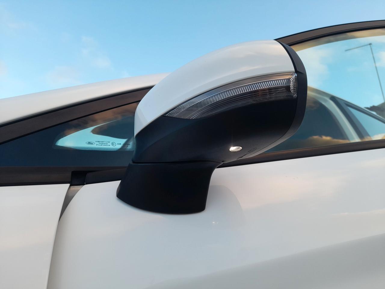 Ford Fiesta 1.5 EcoBlue 5 porte Connect Anno 2020