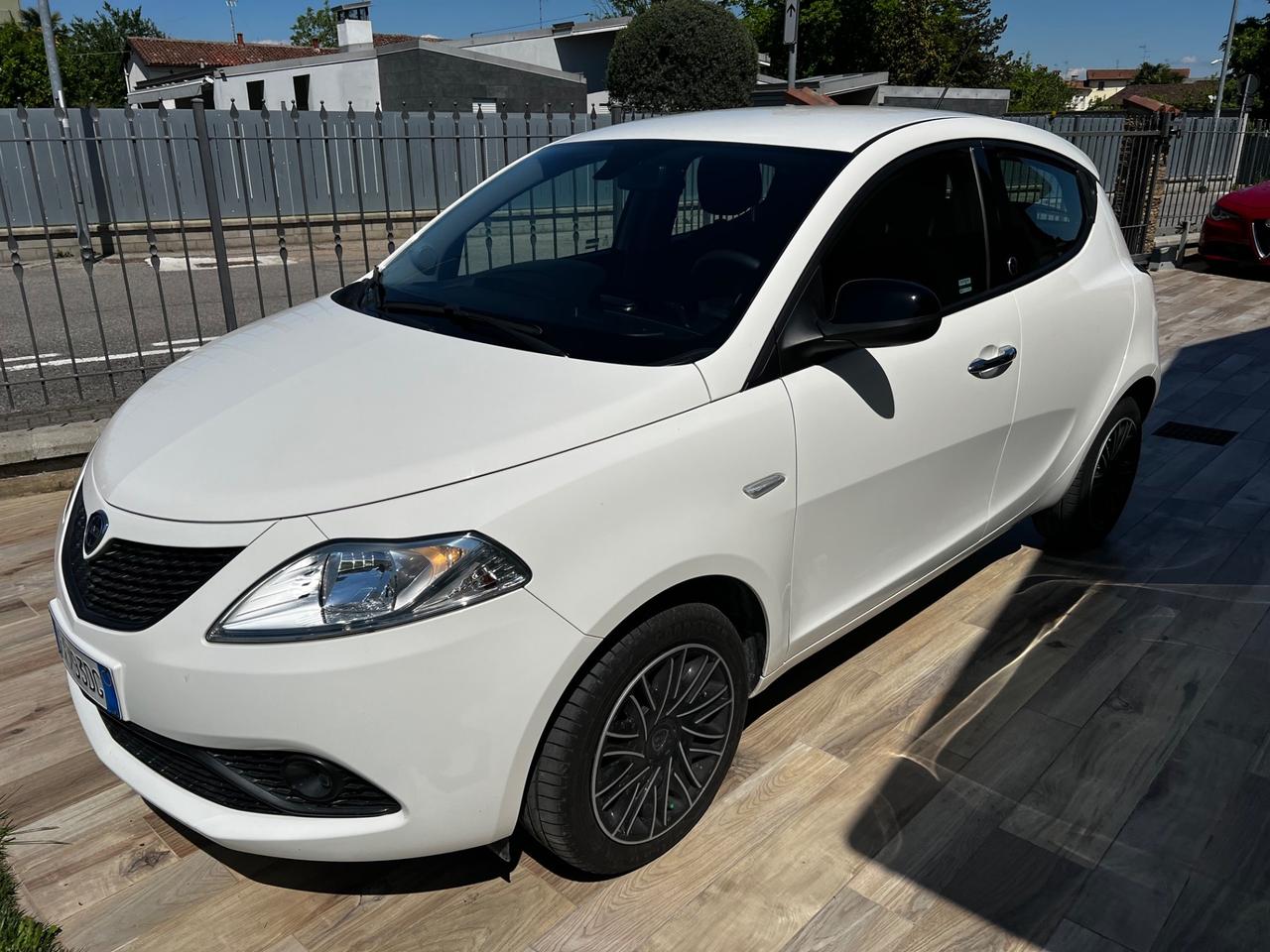 Lancia Ypsilon 1.2 69 CV 5 porte GPL Ecochic Gold CINGHIA APPENA FATTA