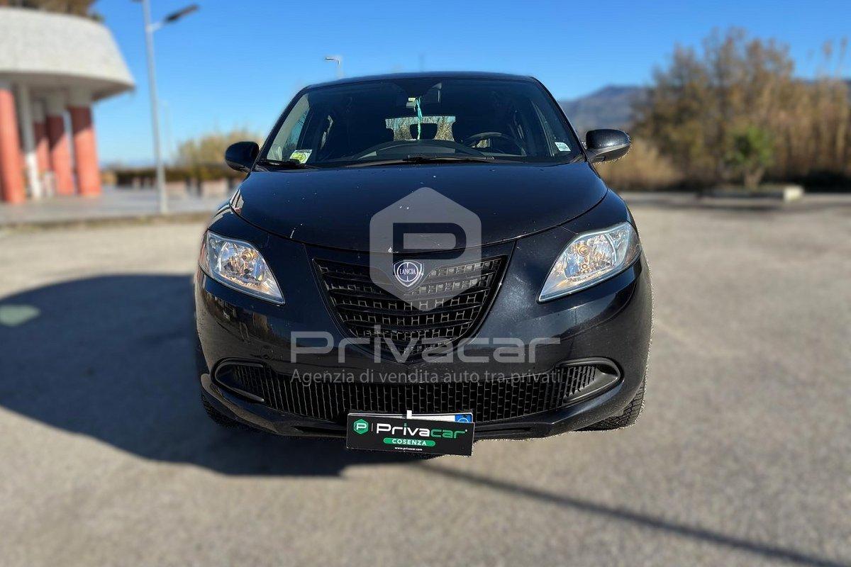 LANCIA Ypsilon 1.2 69 CV 5 porte Elle