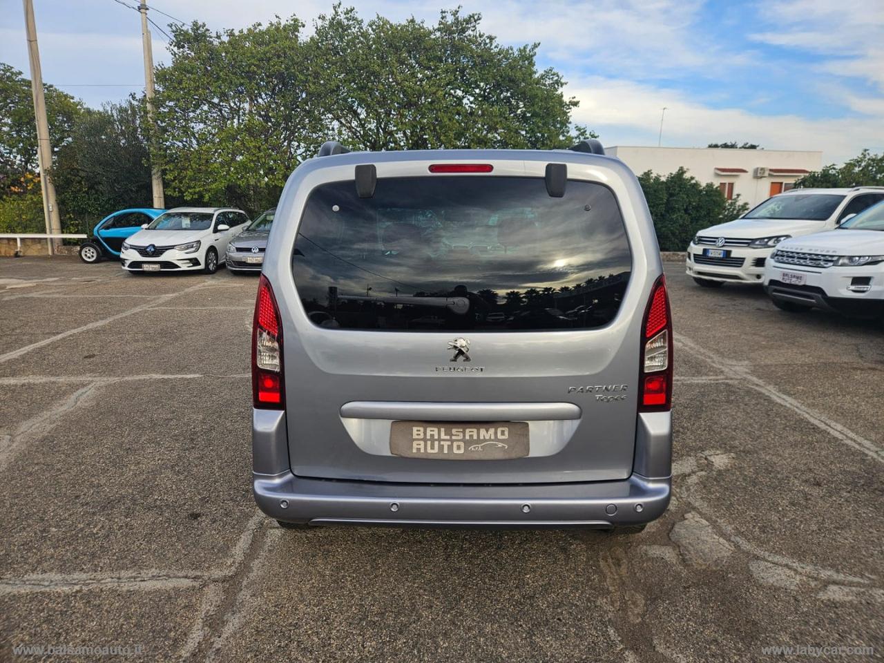 Partner Tepee BlueHDi 100 N1