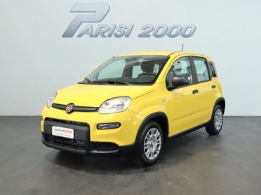 FIAT Panda 1.0 FireFly S&S Hybrid new version 2024