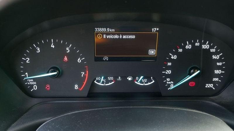 Ford Fiesta 1.0 EcoBoost Hybrid 125 CV 5 porte Business