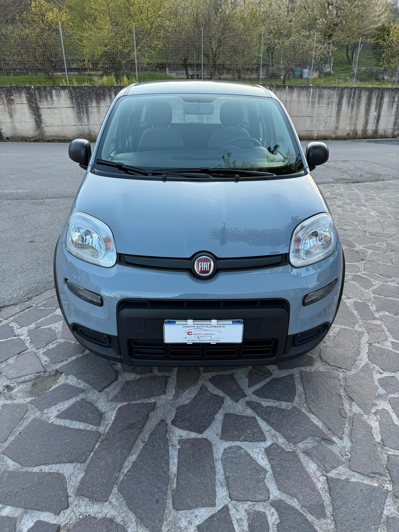 Fiat Panda 1000 Hybrid 70cv 2022