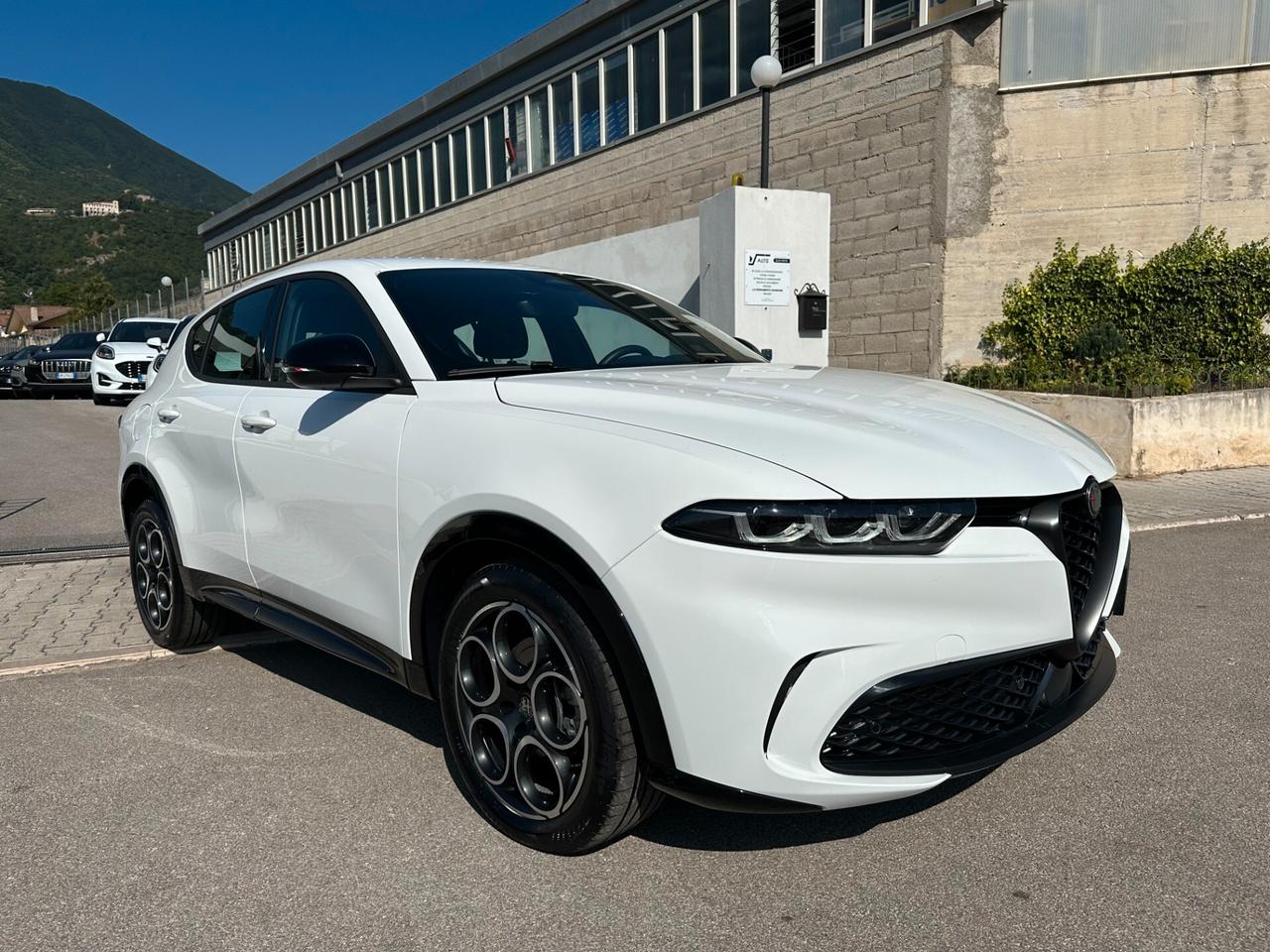 Alfa Romeo Tonale 1.6 diesel 130 CV TCT6 Sprint