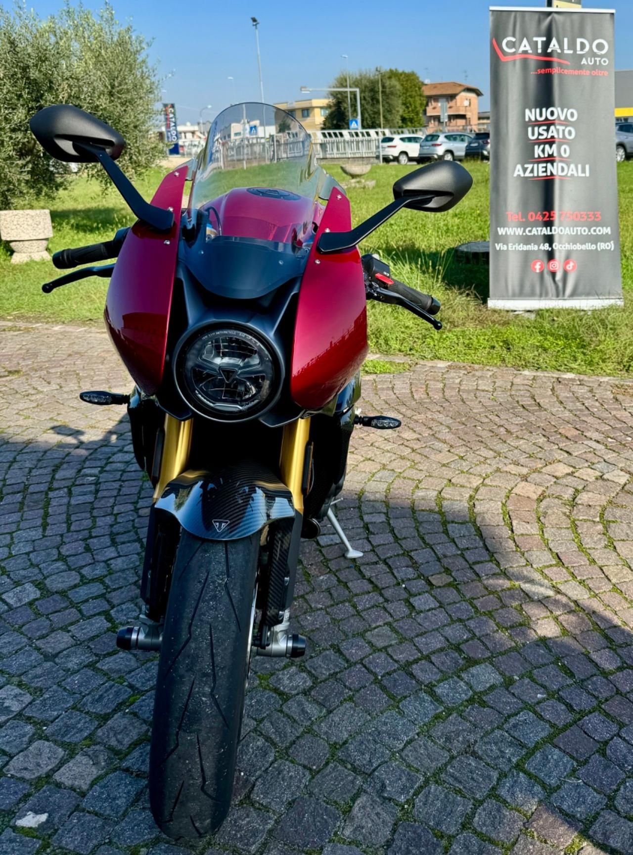 Triumph Speed Triple 1200 speed triple 1200 RR