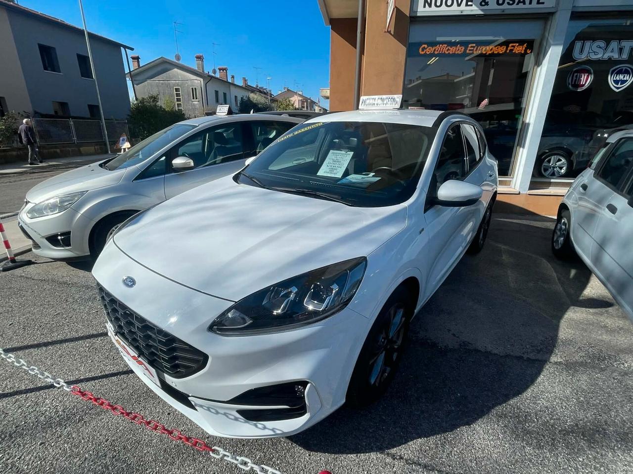 Ford Kuga 1.5 EcoBlue 120 CV 2WD ST-Line