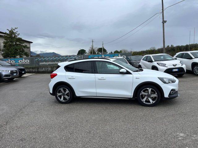 FORD Focus 1.5 EcoBlue 120 CV 5p. Business