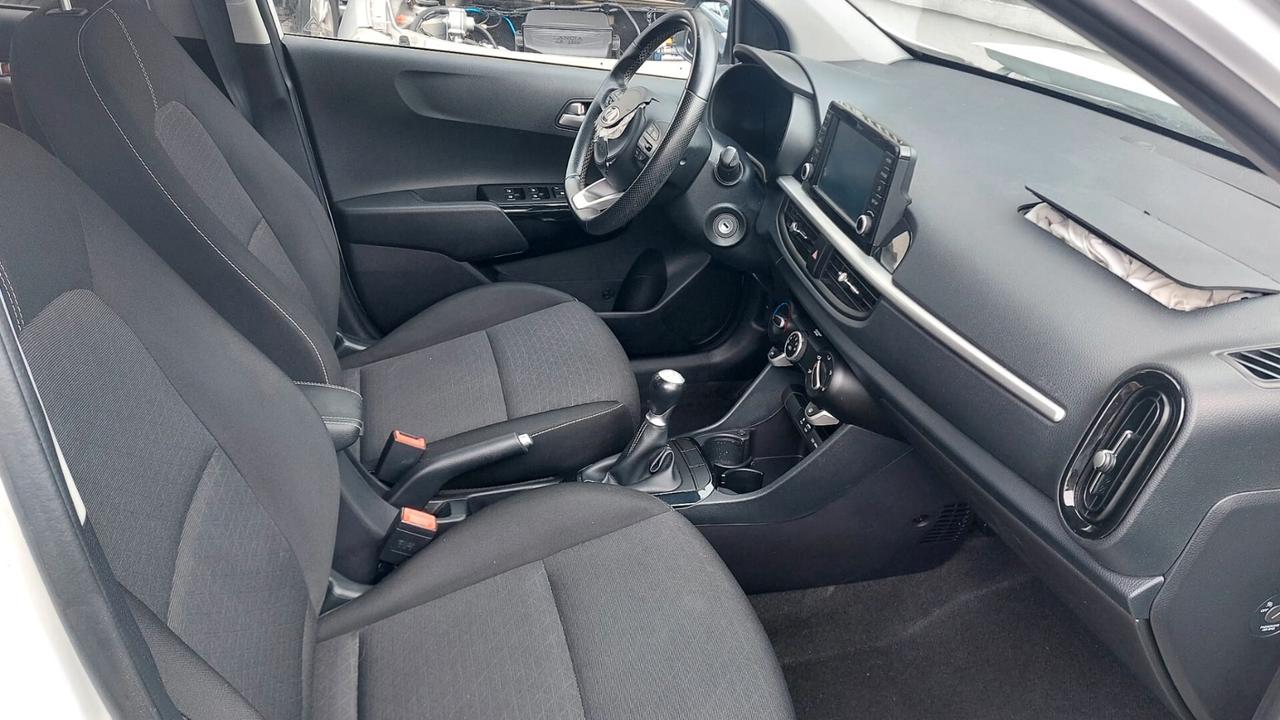 Kia Picanto 1.0 12V 5 porte X line - 2019 ( PICCHIATA)