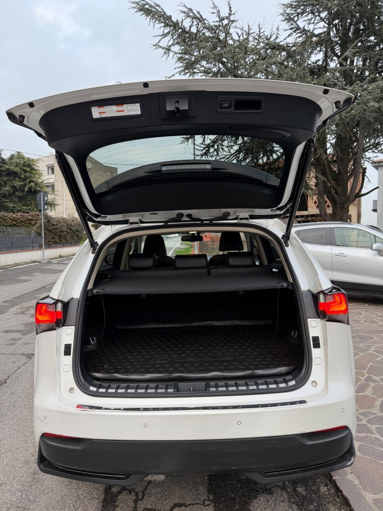 Lexus NX 300h Hybrid 4WD Luxury