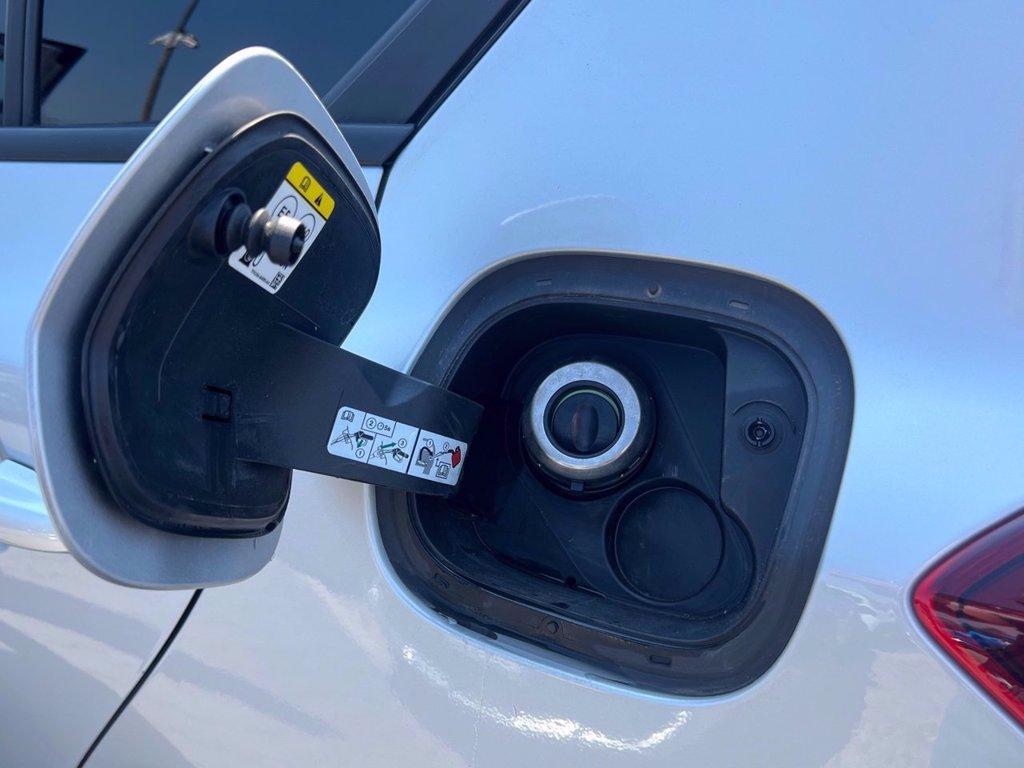 FORD Focus Active 1.0 ecoboost h s&s 125cv my20.75 del 2024