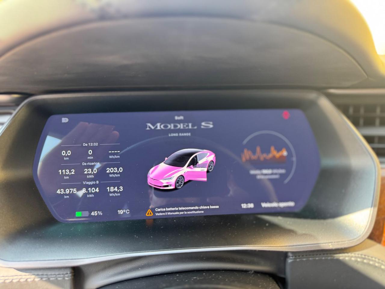 Tesla Model S Long Range Plus #7245