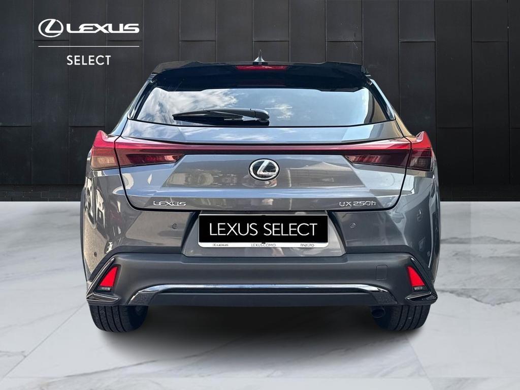 Lexus UX 250h Luxury 2wd cvt