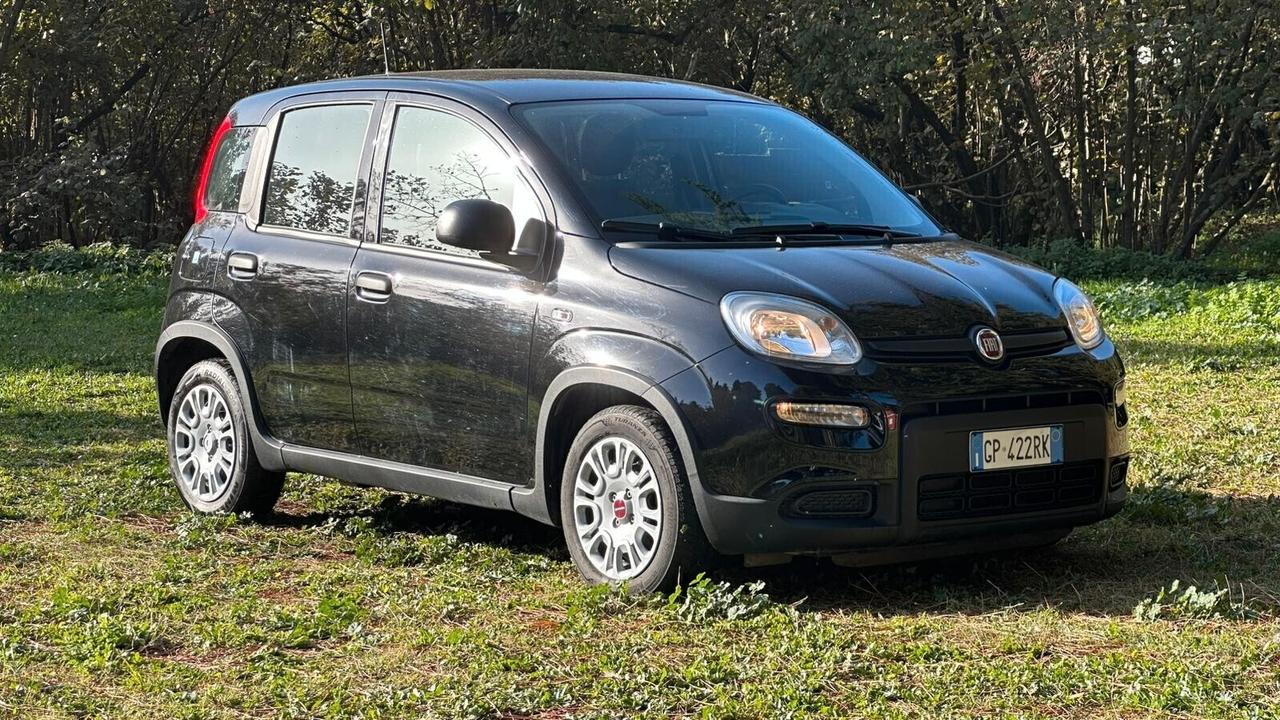 Fiat Panda 1.0 FireFly S&S Hybrid 2023 PERFETTA neop LEGGI TESTO
