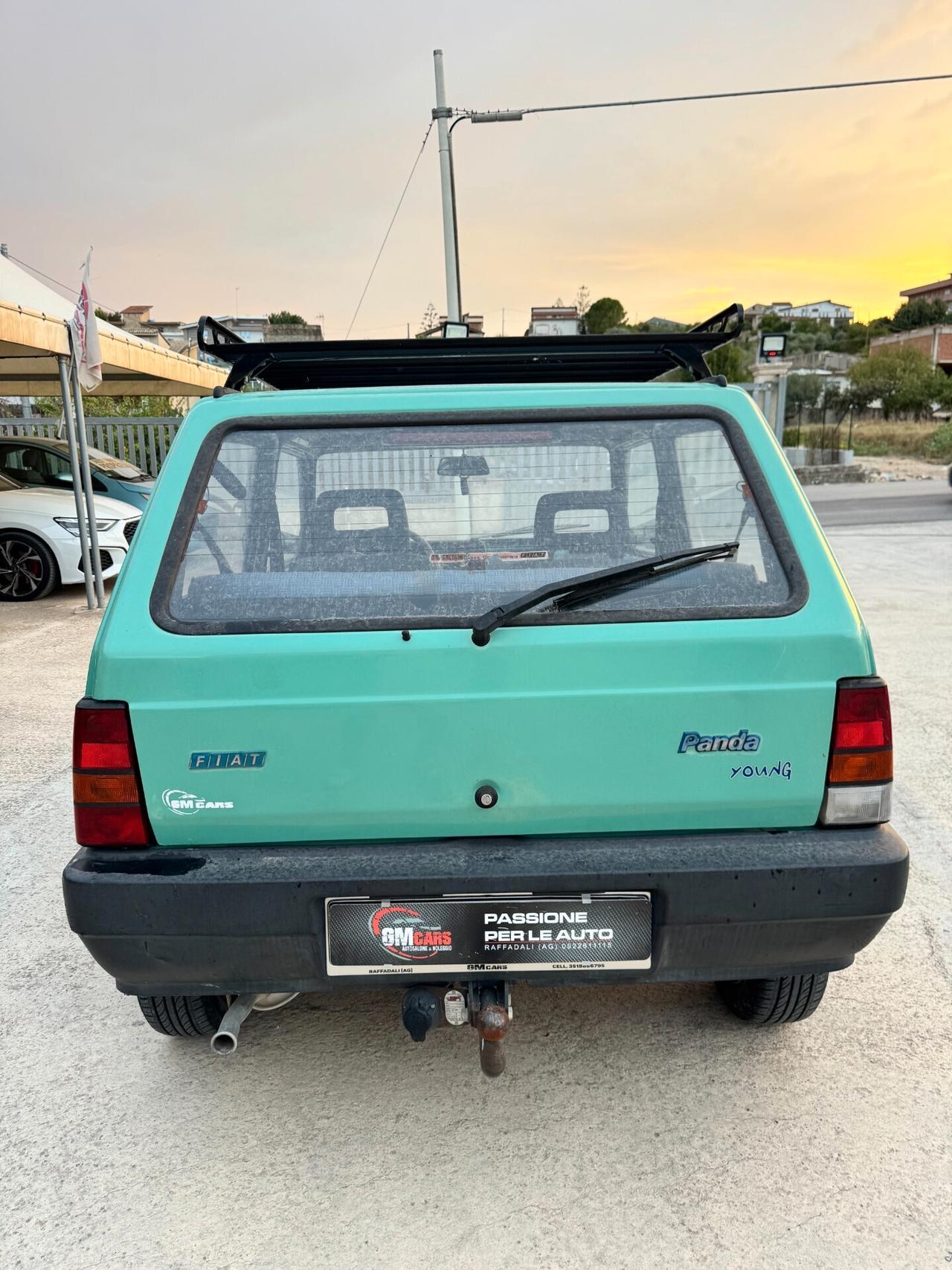 Fiat Panda 1100 i.e. cat Young