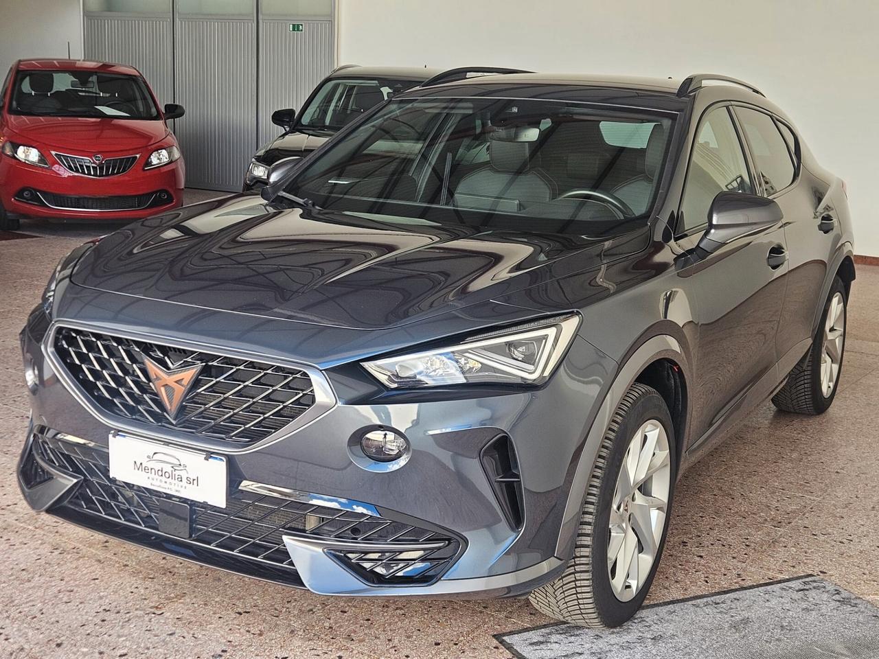 Cupra Formentor 2.0 TDI 4Drive DSG