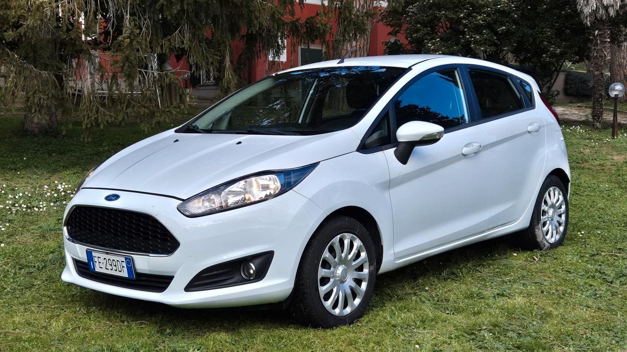 Ford Fiesta 1.2 60CV 5P GPL 2016 NEOPATENT leggi testo