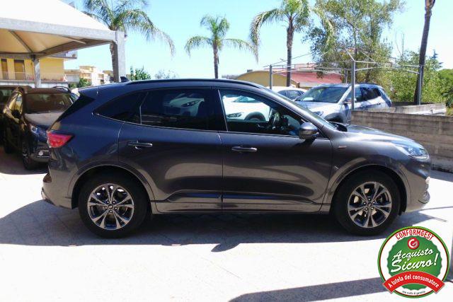 FORD Kuga 1.5 EcoBlue 120 CV 2WD ST-Line