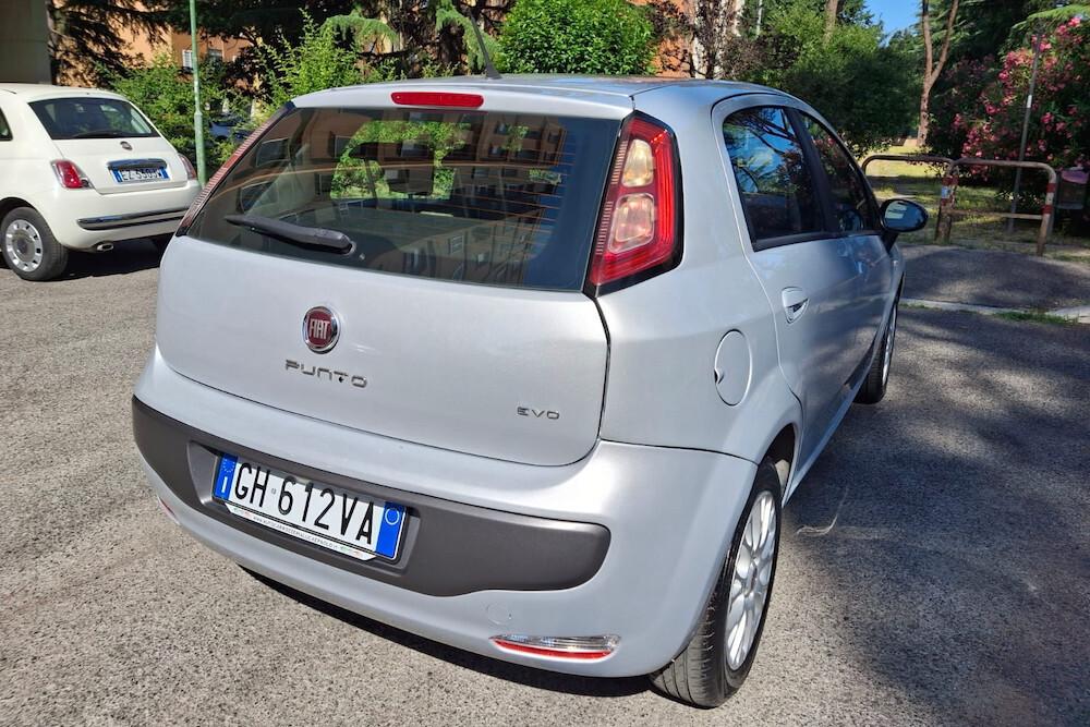 Fiat Punto Evo Punto Evo 1.4 5 porte S&S Active