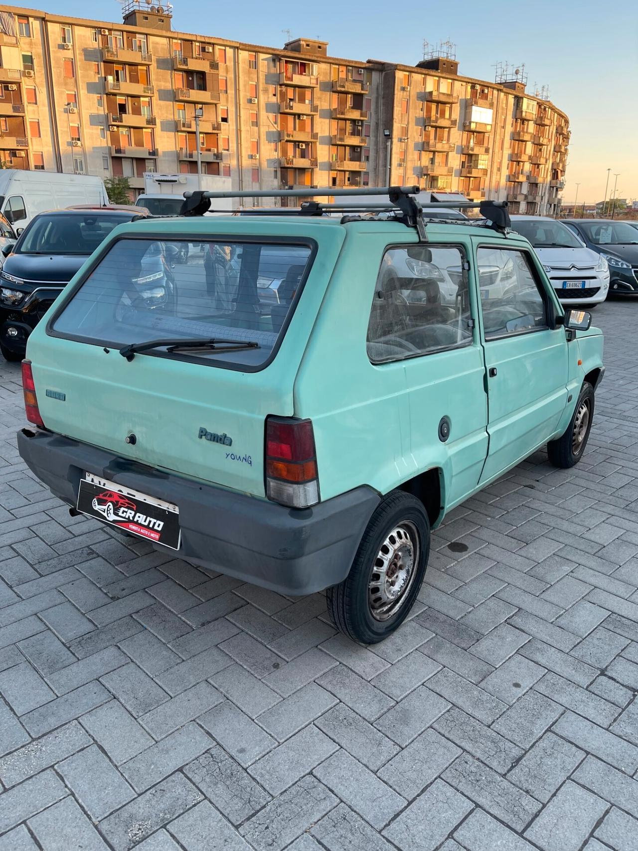Fiat Panda 900 i.e. cat Young