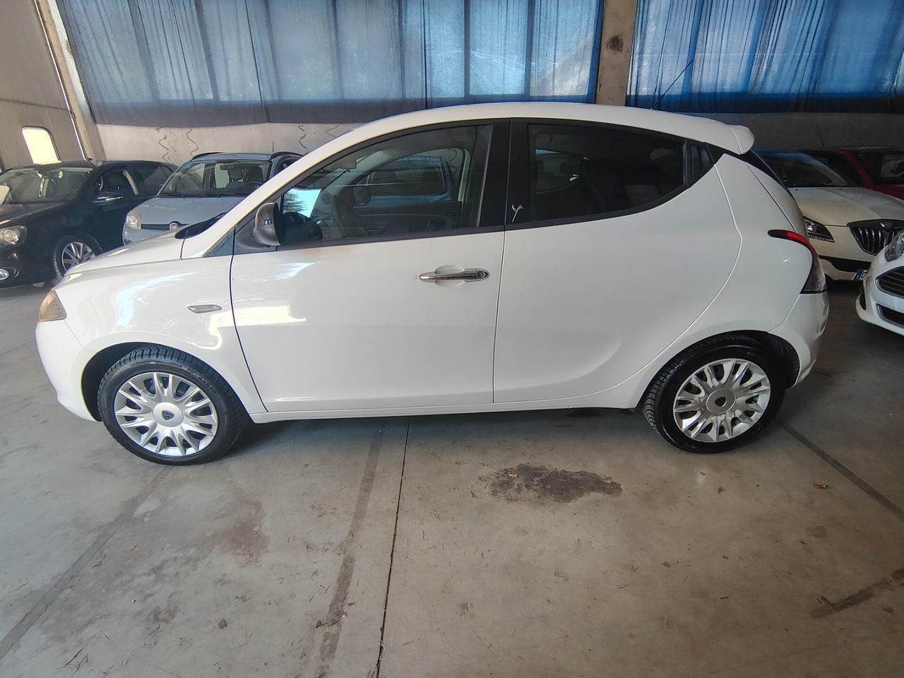 Lancia Ypsilon 1.2 69 CV 5 porte S&S Platinum