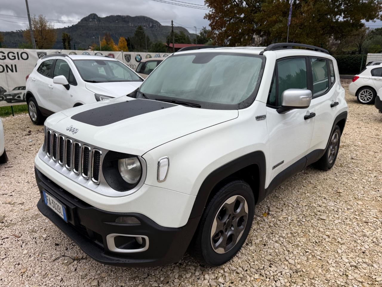 Jeep Renegade 1.6 E-TorQ GPL Sport 1941 edizione speciale