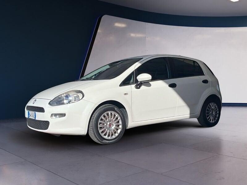 FIAT Punto Punto 1.2 8V 5 porte Street