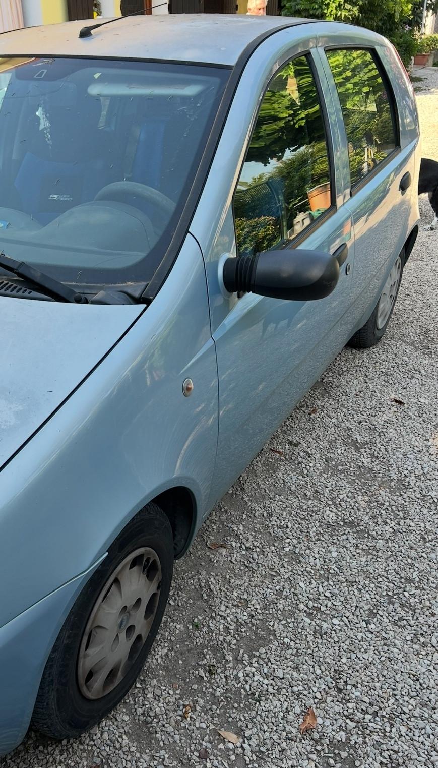 Fiat Punto 1.2i cat 5 porte Verve