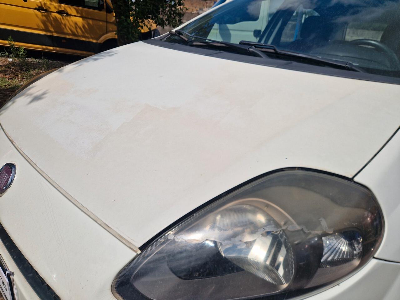 Fiat Punto 1.3 MJT 75 CV 5 porte Lounge-2014