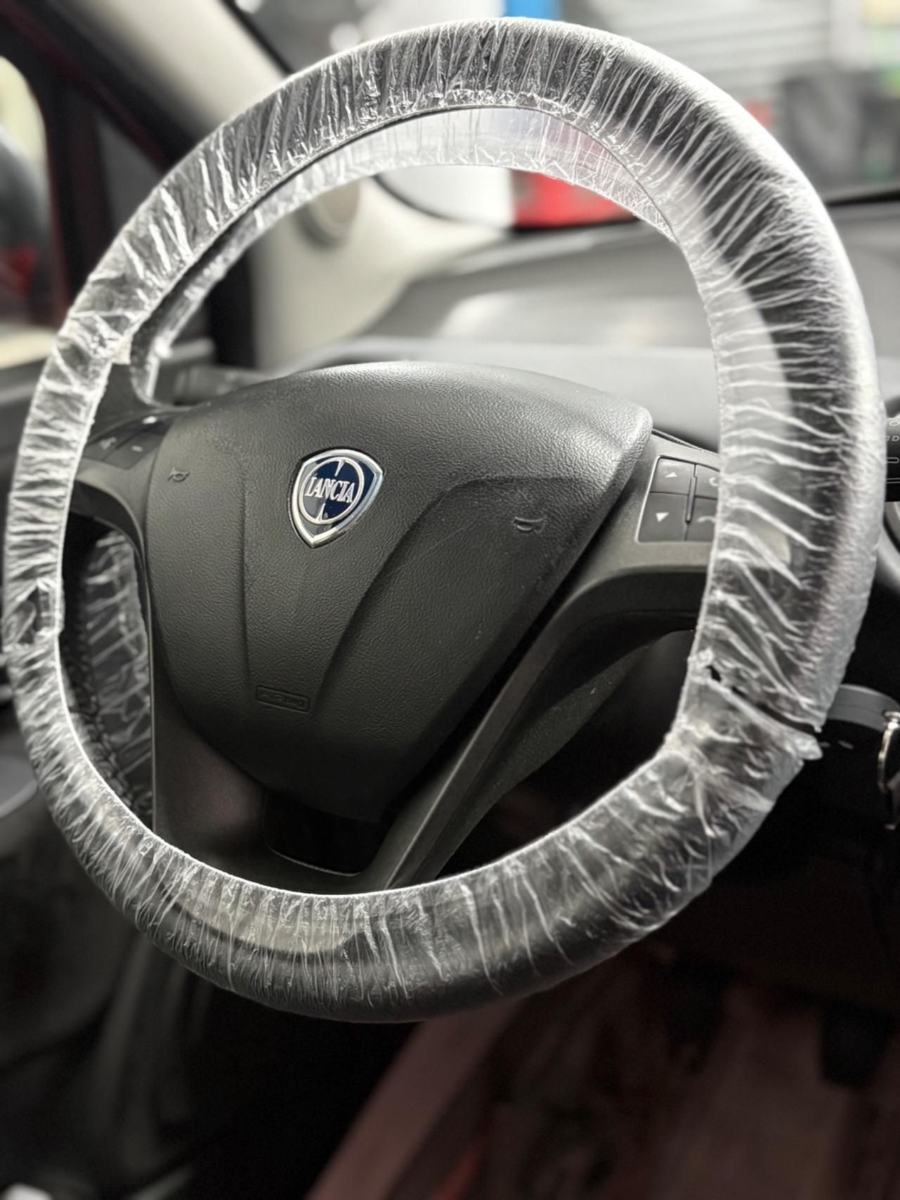 Lancia Ypsilon 1.3 MJT 16V 95 CV 5 porte S&S Platinum