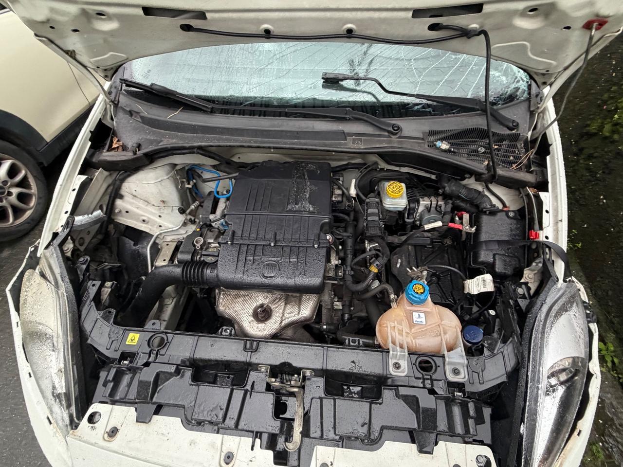 Fiat Punto 1.2 8V 5 porte km 90.000 - 2016 euro6